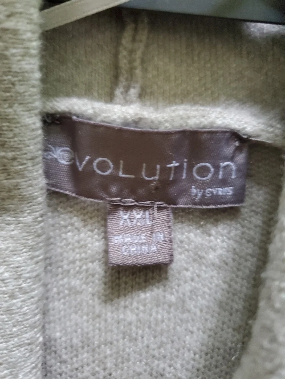 Evolution - Picture 4 of 4